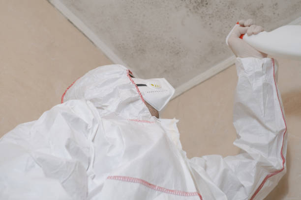 Best Commercial Mold Removal  in San Diego Country Estates, CA